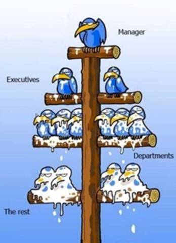 Organizational Flowchart image